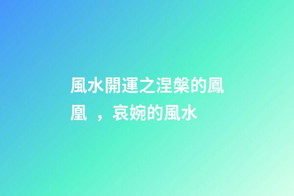 風水開運之涅槃的鳳凰，哀婉的風水